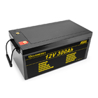 12V 300Ah 3840Wh Deep Cycle LiFePO4 Battery Built In 200A BMS