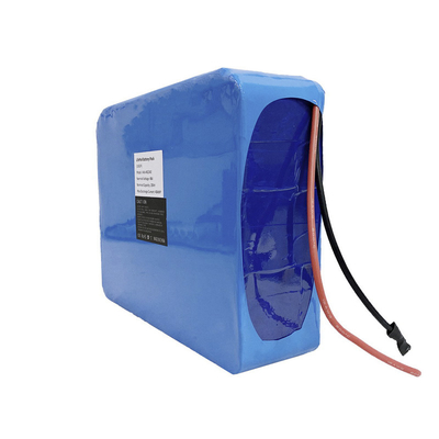 48V 20AH 960Wh Ebike Lithium Battery Packs With BMS Protection