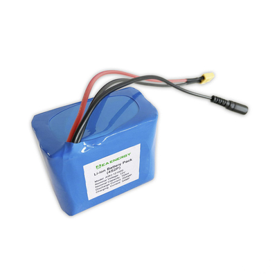 128Wh 12V 10Ah LiFePO4 Battery Packs Lithium Iron Phosphate Battery